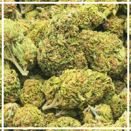 Купить шишки